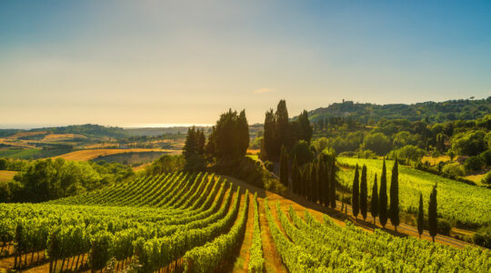 visiter le beaujolais